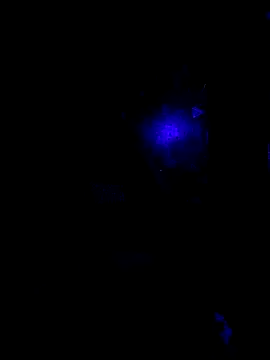 johnboones10 online show from October 22, 9:42 am