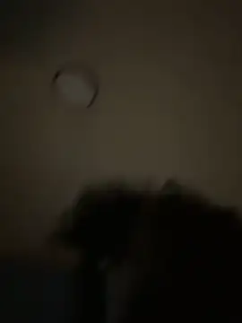 bunbun420247 online show from December 5, 11:30 am