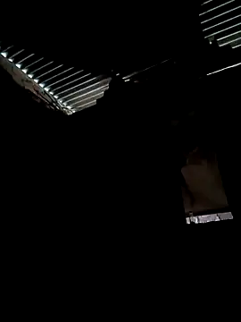 Gustavo1135e online show from October 13, 11:10 am