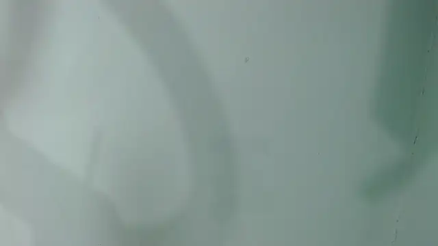 Snapshot of salome_aguilar chatting on September 28, 12:21 pm salome aguilar online show from September 28, 12:21 pm