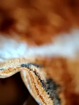 Hot lali 555 online show from January 7, 2:41 pm