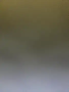 Adele Pinkk online show from October 14, 12:50 pm