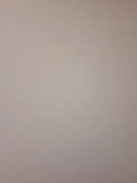 Snapshot of Mr_nightfall chatting on November 13, 2:32 am Mr nightfall online show from November 13, 2:32 am