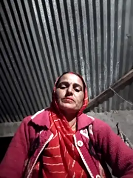 Jalebi bay online show from November 11, 12:38 pm