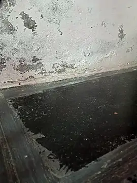 chubby babitha-telugu online show from September 19, 3:19 am