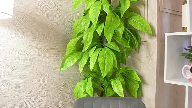 MarlinVarian online show from September 9, 6:13 am