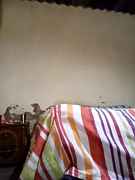 average price online show from November 12, 4:13 am