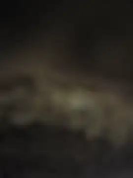 Snapshot of Aarushi_sexy chatting on June 29, 4:41 am Aarushi sexy online show from June 29, 4:41 am