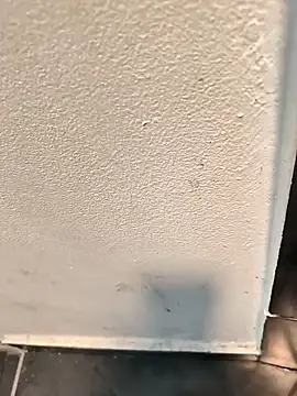 Snapshot of penchis90 chatting on December 14, 2:22 pm penchis90 online show from December 14, 2:22 pm