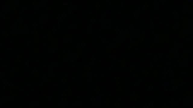 Pyrelissa online show from December 4, 6:34 am