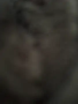 Immerhartundgeil online show from May 9, 6:18 am