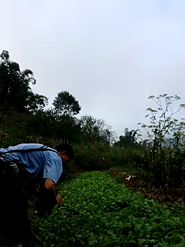 kemtuoi-sex online show from October 3, 1:13 am