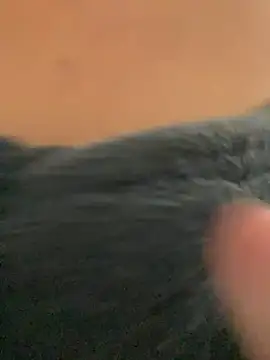    seusegredo online show from February 4, 6:03 pm