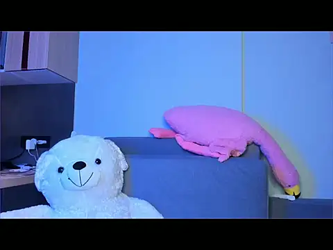 tokipokki online show from January 13, 11:32 pm