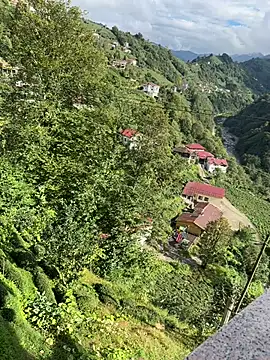 LAZ3R1 online show from October 21, 11:00 am