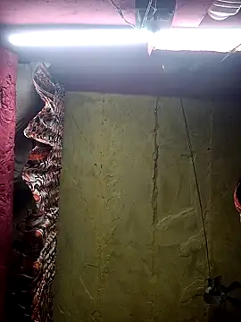 Suman ji1 online show from November 25, 1:44 pm