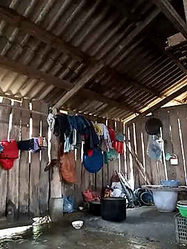 bonnie-00 online show from February 15, 2:19 am