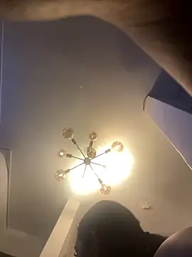 SienaWild online show from November 2, 4:15 am