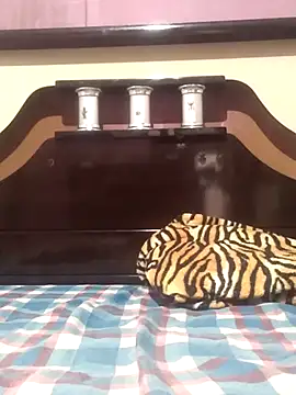 Cachorrinha2025 online show from November 13, 8:30 pm