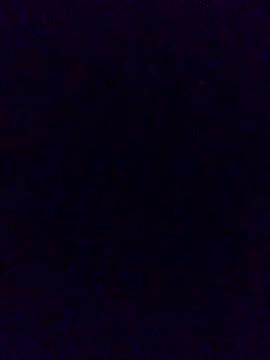 Cachorrinha2025 online show from November 21, 2:05 pm