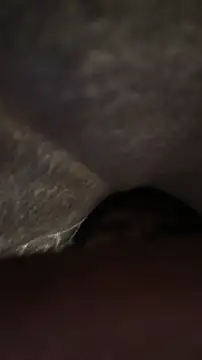 panganamno online show from November 15, 5:09 pm