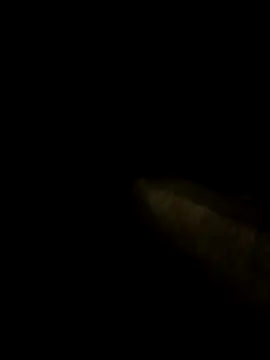 sassy aly007 online show from January 9, 2:31 pm