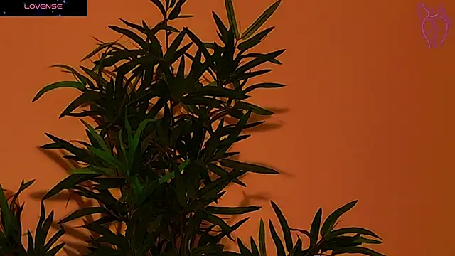 CoraVex online show from September 26, 4:27 am