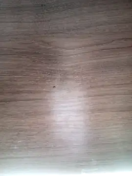 ValeriaLove43211 online show from March 13, 6:31 am