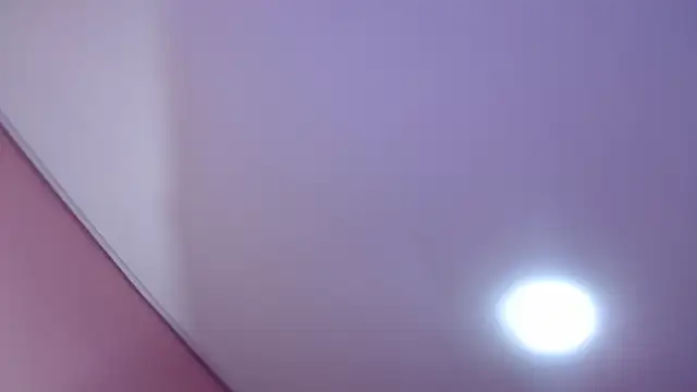 Bunny poison online show from November 1, 2:41 pm