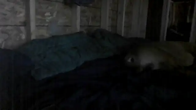 Snapshot of stuandangie28129r chatting on July 9, 5:00 am stuandangie28129r online show from July 9, 5:00 am