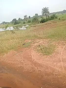 Snapshot of AgitatedStrip9 chatting on September 22, 2:35 am AgitatedStrip9 online show from September 22, 2:35 am