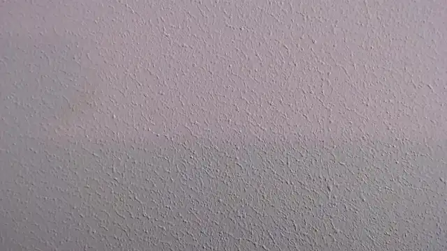 Camila Torresss online show from March 30, 7:26 pm