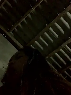 Halyy xx online show from January 12, 11:54 pm