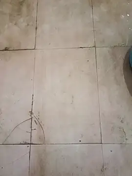 TeluguCuplehyd online show from September 20, 11:17 pm