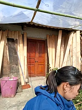 diamond-- online show from November 14, 7:18 am