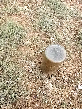 Snapshot of telugumodda4396 chatting on October 6, 2:31 am telugumodda4396 online show from October 6, 2:31 am