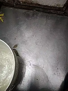 Snapshot of telugumodda4396 chatting on November 12, 1:50 am telugumodda4396 online show from November 12, 1:50 am