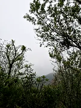 xuxulovezz online show from April 1, 1:50 am