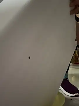 aoyo66 online show from April 3, 11:19 am