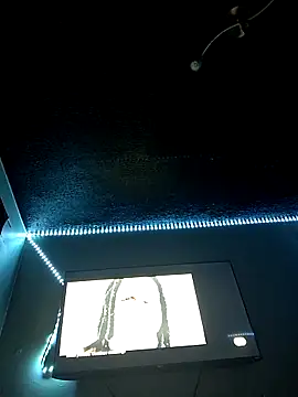 Snapshot of Painstickwes chatting on February 5, 9:52 pm Painstickwes online show from February 5, 9:52 pm