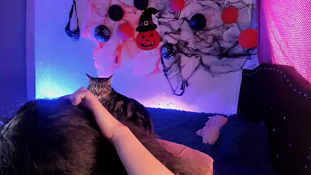 kitty  chs online show from November 1, 5:26 pm