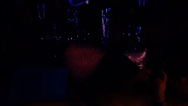 big bearr online show from October 5, 2:48 pm