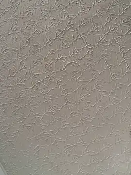 big bearr online show from November 7, 1:44 pm