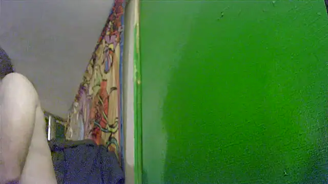 HippieDad333 online show from November 25, 8:36 am