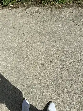 Italianofirenze online show from April 15, 9:49 am