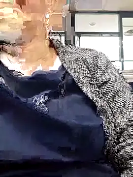 Kimkhaepretty online show from January 9, 6:05 am