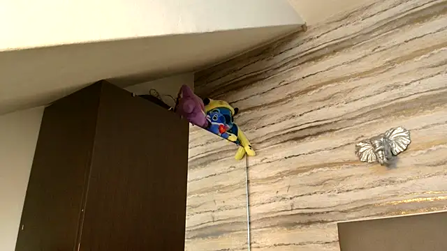 Lovers 21 online show from January 6, 3:32 am