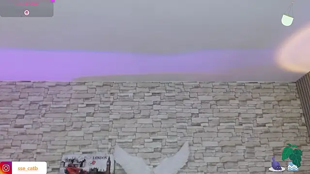 Snapshot of casse_tay chatting on February 9, 3:10 am casse tay online show from February 9, 3:10 am