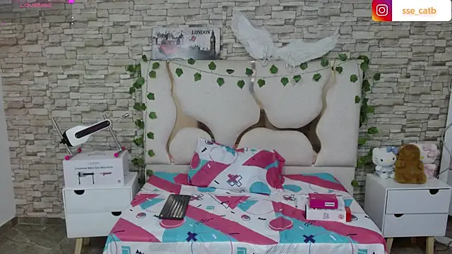 Snapshot of casse_tay chatting on February 23, 3:15 am casse tay online show from February 23, 3:15 am