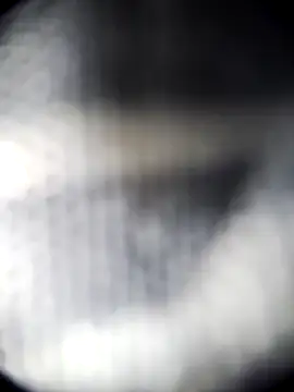 Blanquitakchera online show from December 21, 5:58 am